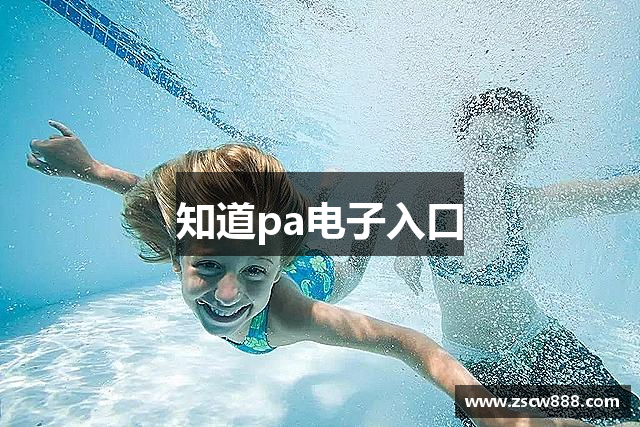 知道pa电子入口